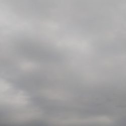 今日も１パイだけ